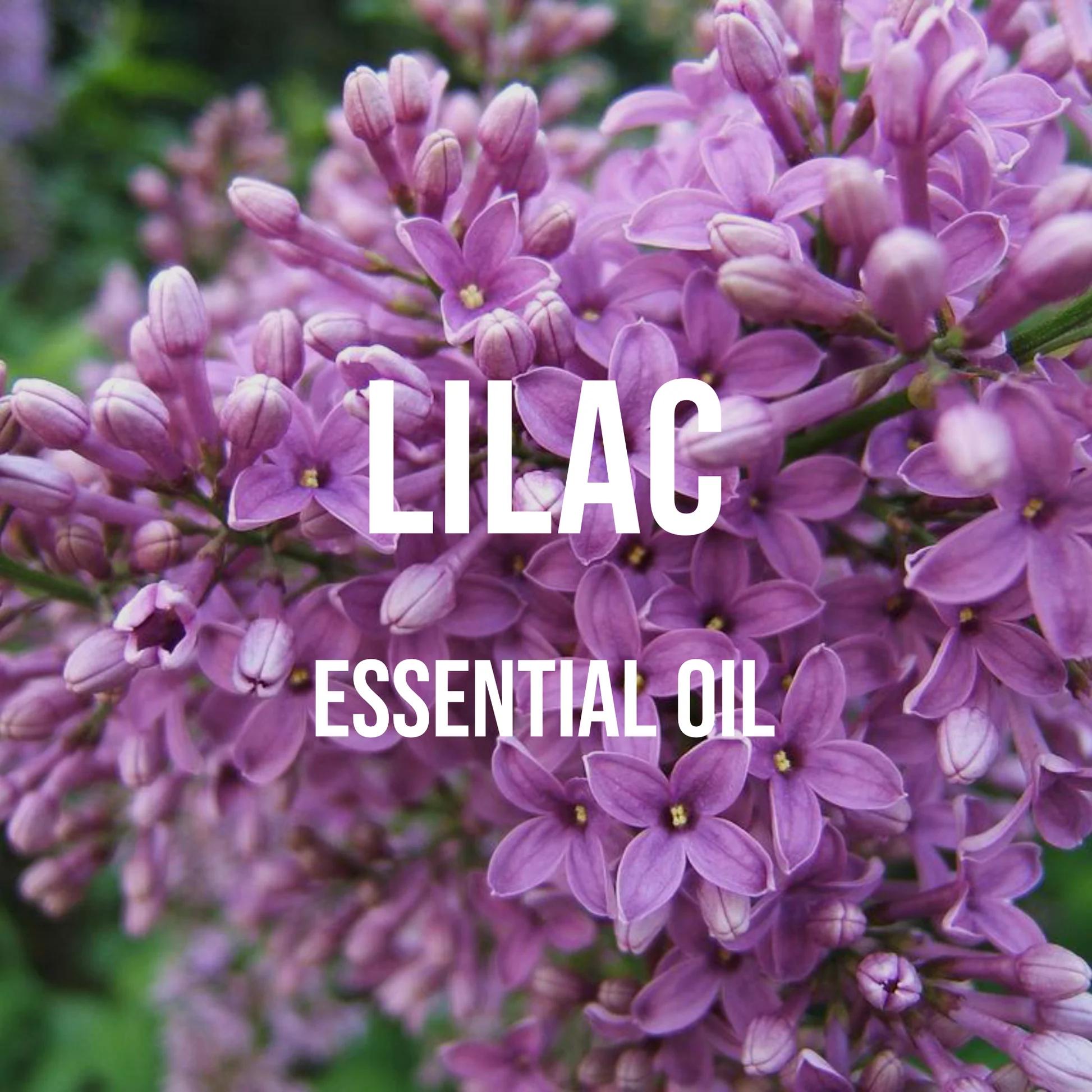 Lilac Essential Oil Premium Gr - Candle Supplies Essential Oils reseña y precio