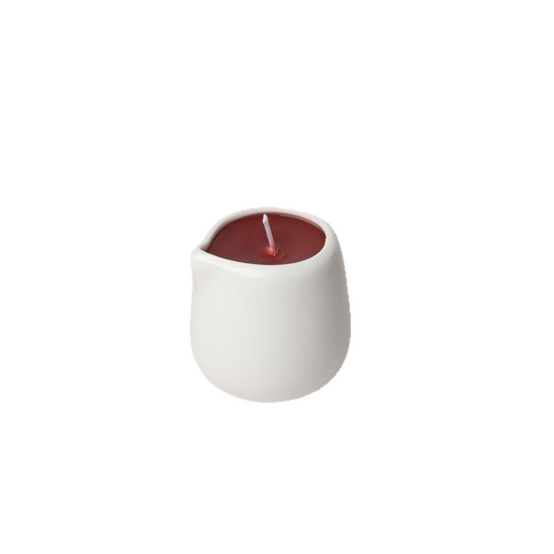 Travel Bag Ceramic Cup Candle  - Candle Supplies Essential Oils reseña y precio